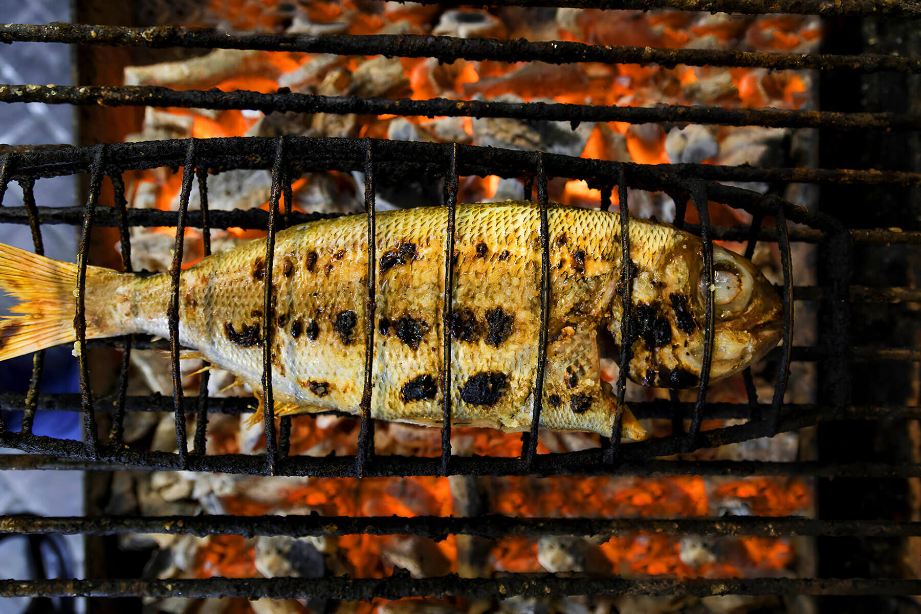 炭火焼きの魚