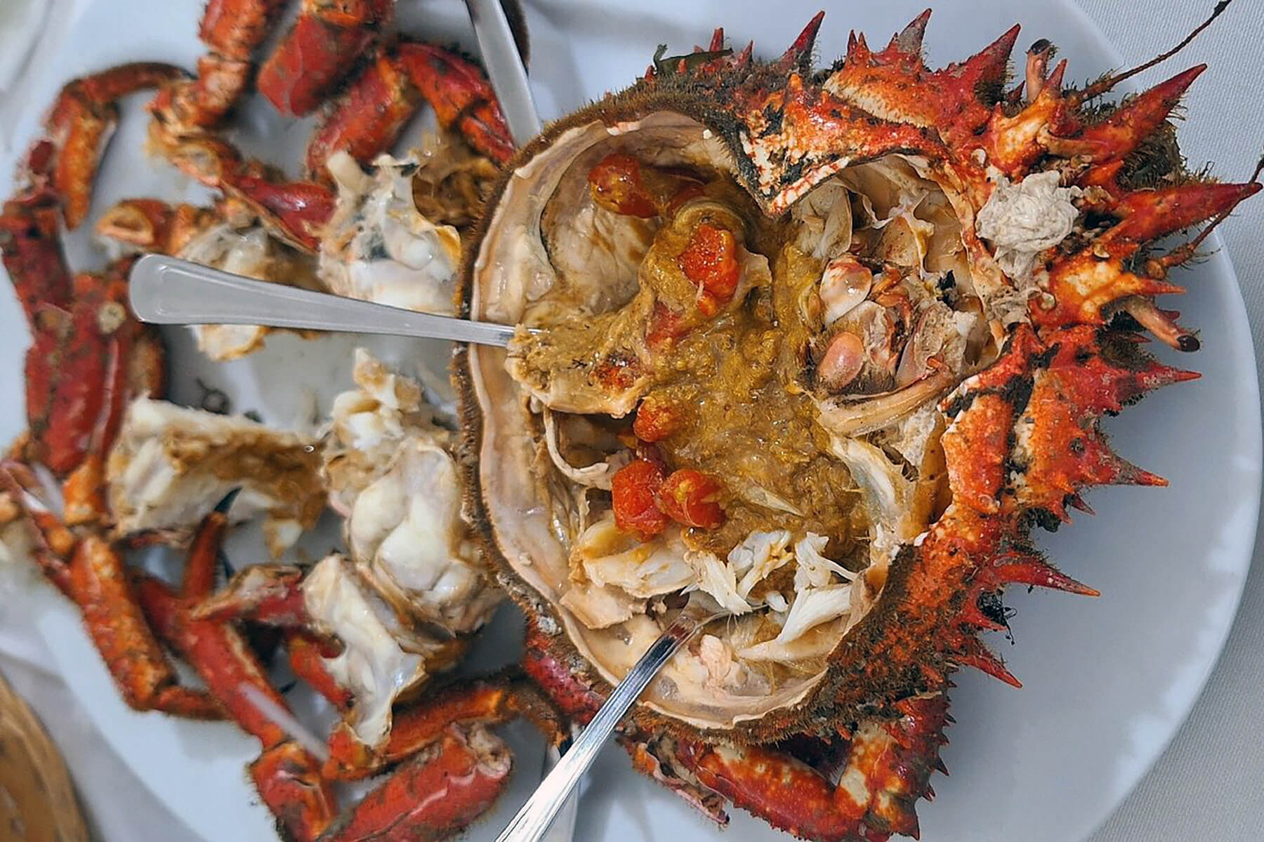 茹でたイチョウガニ